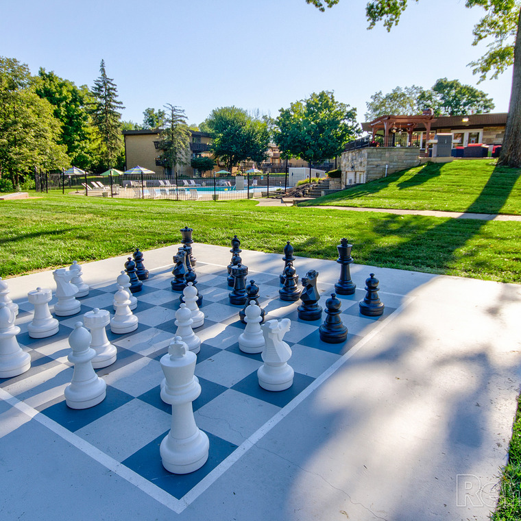 Giant chess game